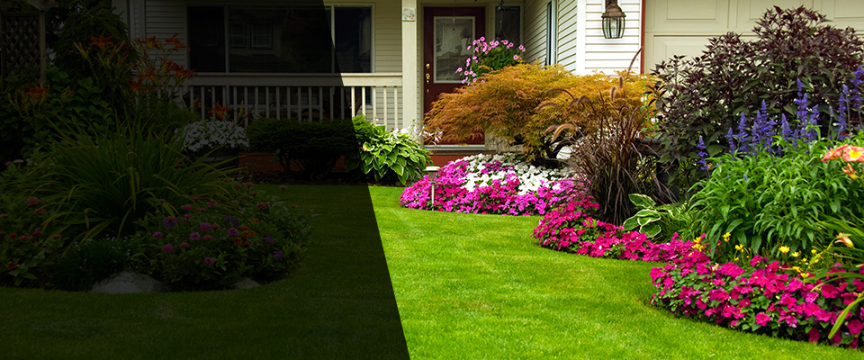 Peachtree City Landscapers