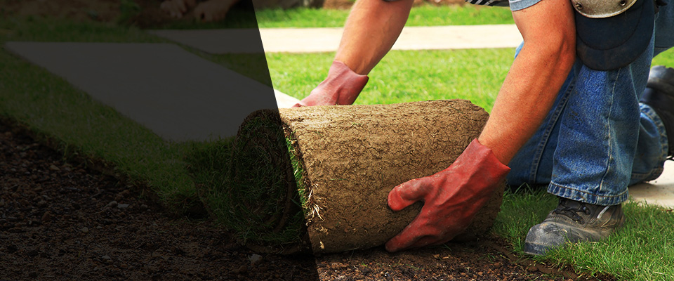 Peachtree City Landscapers
